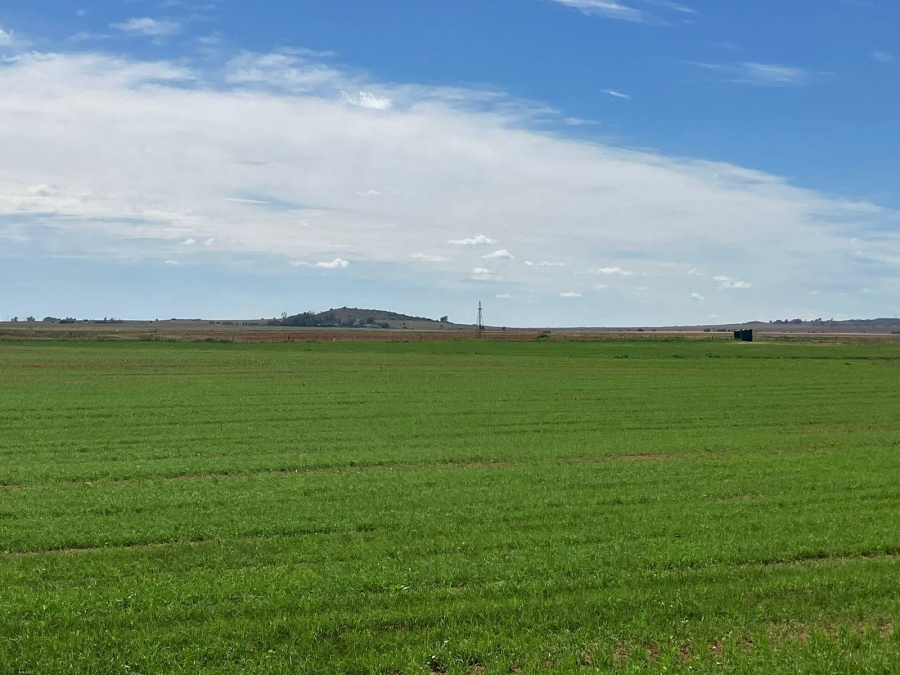 3 Bedroom Property for Sale in Bloemfontein Rural Free State